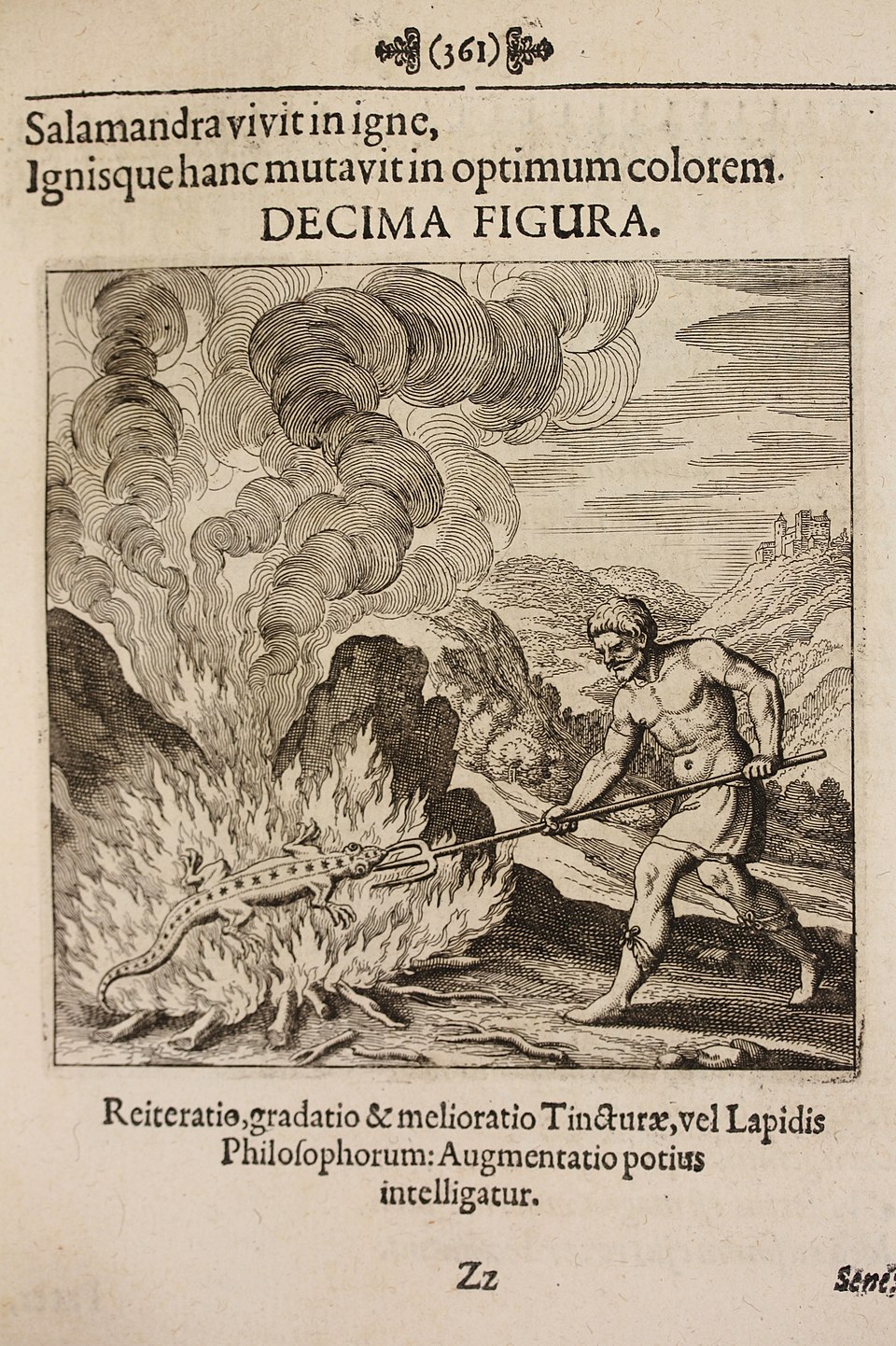 The Salamander as a Symbol