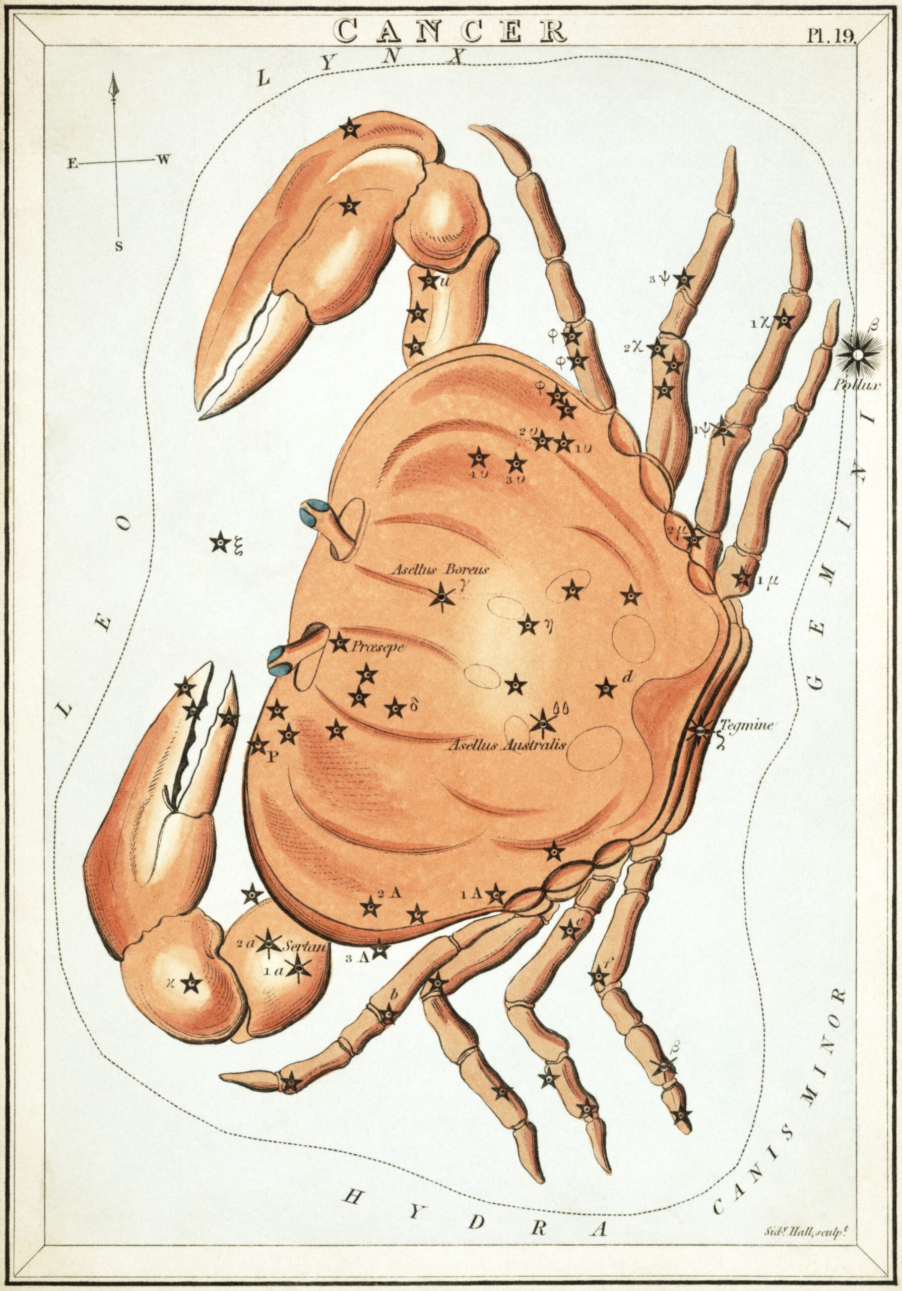 The Crab and the Moon: Hermetic Body, Tidal Shelter
