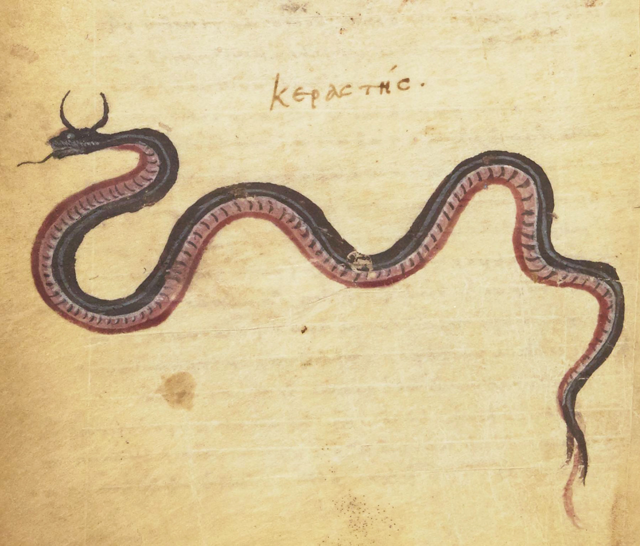 The Salms of The Falling Serpents