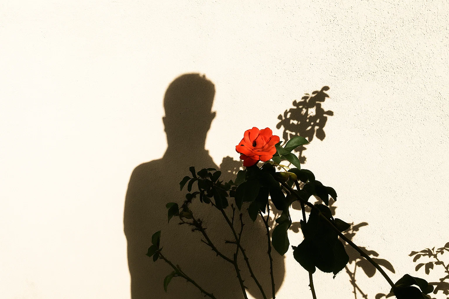 The Silent Path: On the DJ as Thaumaturge and the Hidden Ministry of Juan M.