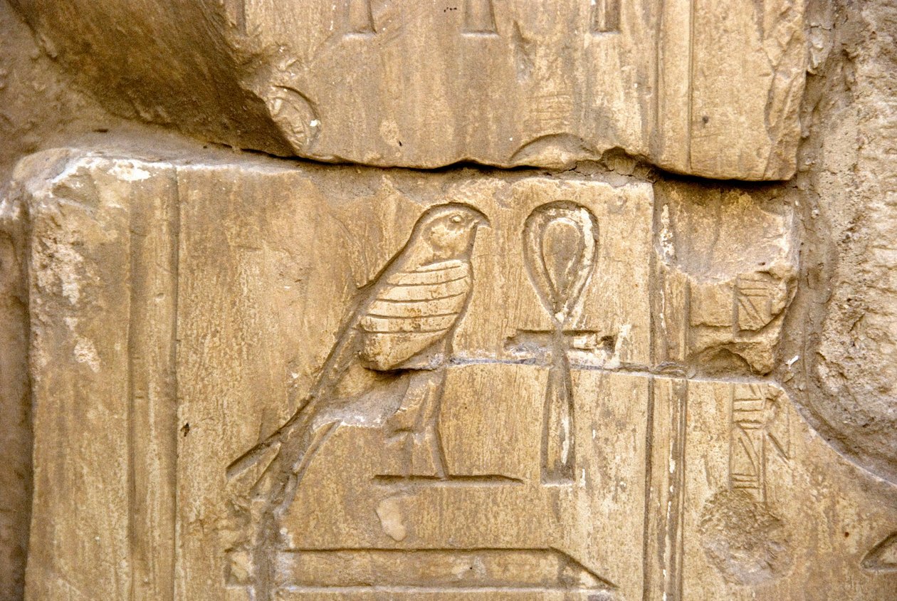 Horary: Where Is My Earring?