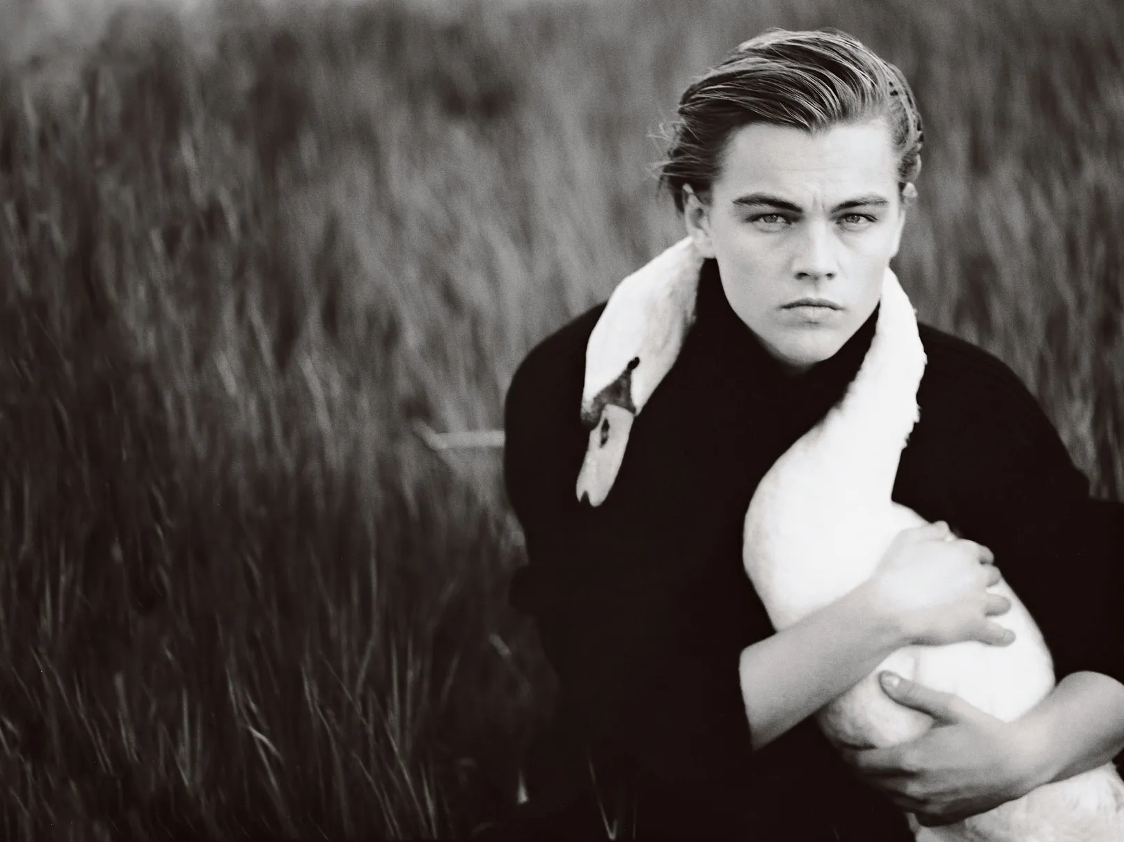 The Glorious Jupiter of DiCaprio